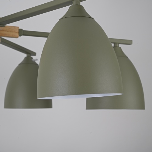 Потолочная люстра NOA 6 Olive 183463-26