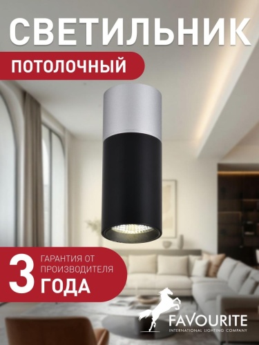 Потолочный светильник 3072-1C