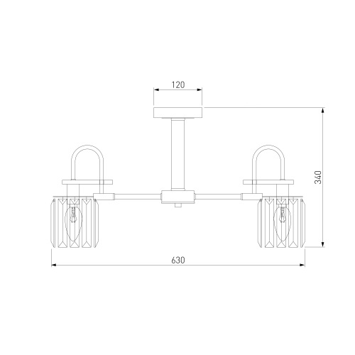 Потолочный светильник Eurosvet 70090/5 черный Smart