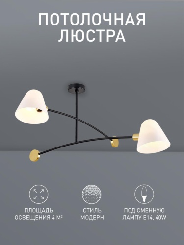 Потолочная люстра 3045-2P