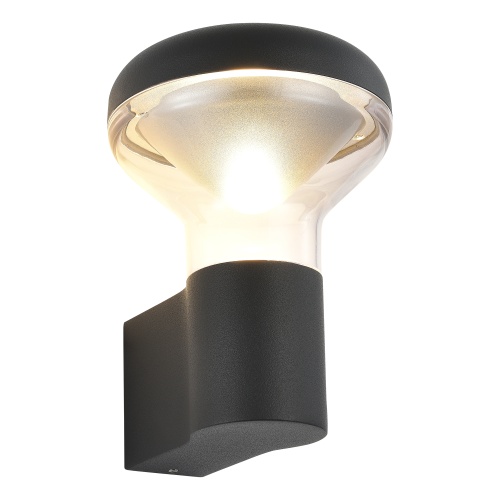 SL9541.701.01 Светильник уличный настенный ST-Luce темно-серый LED 1*6W 3000K РОНИ