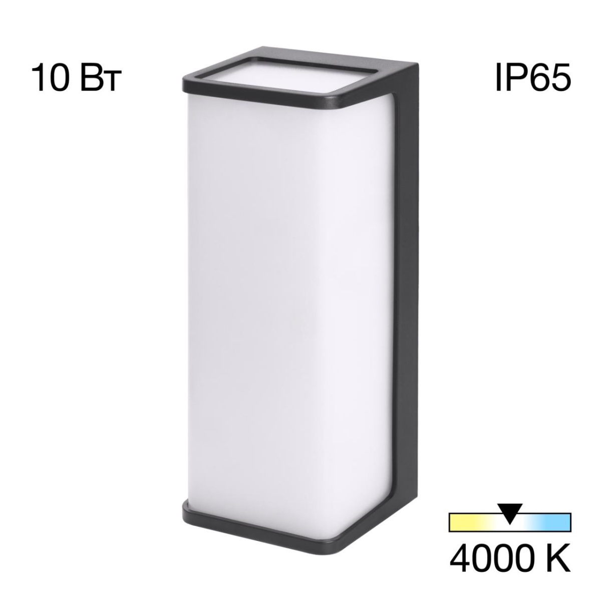 card-img