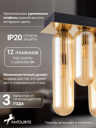 Потолочный светильник 4455-12P