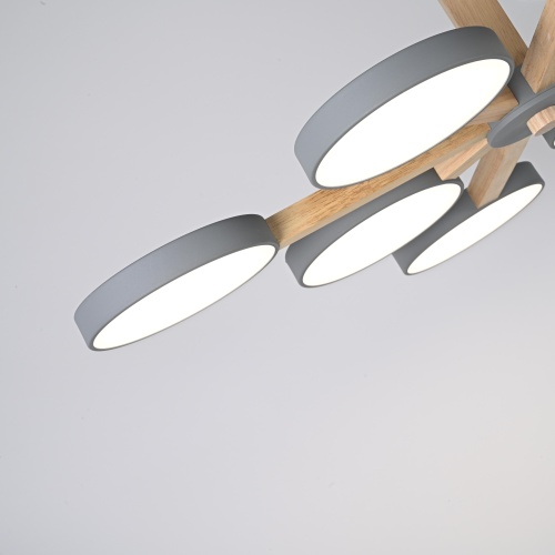 Потолочная люстра TURNA L8 Grey 228857-26