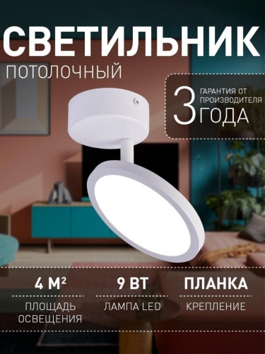 Потолочный светильник 4119-1U