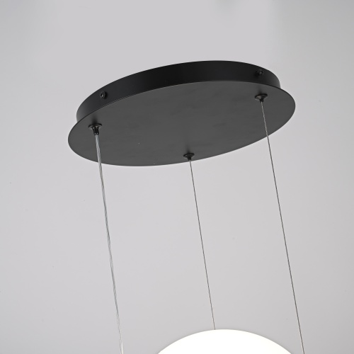 Подвесной светильник PALMA Wall lamp 2 шара 168490-22