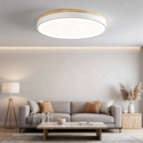 Потолочный светильник DISC DH D38 White 189897-26
