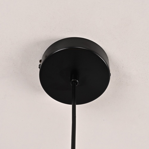 Подвесной светильник HOOP DROP Black 213738-26