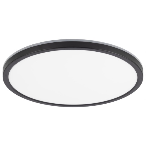 CL738321EL Бейсик Лайн Черный Св-к с пультом LED+RGB 40W