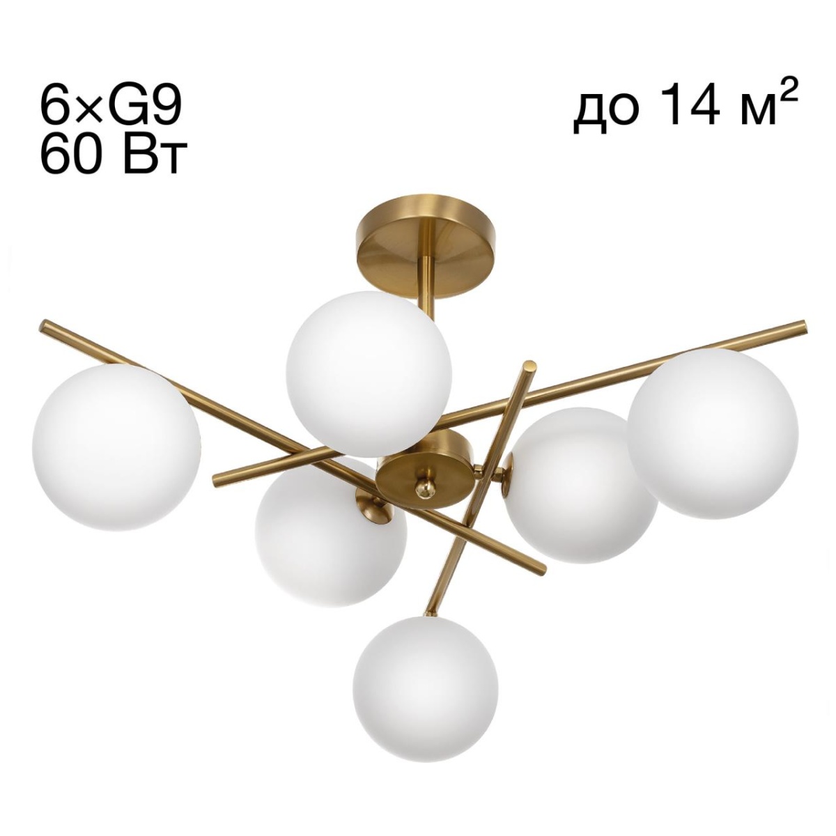 card-img