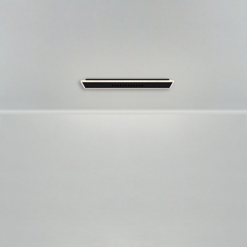 Потолочный светильник Freya FR6105CL-L40B
