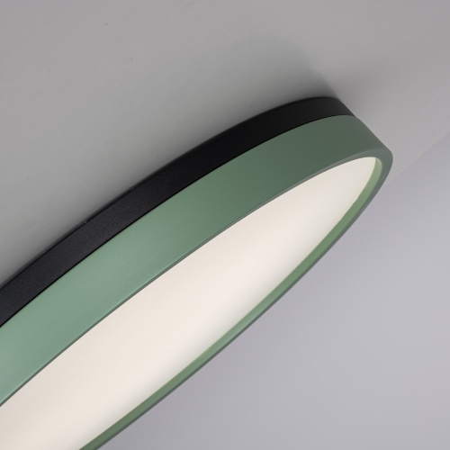 Потолочный светильник KIER D60 Green 181024-26