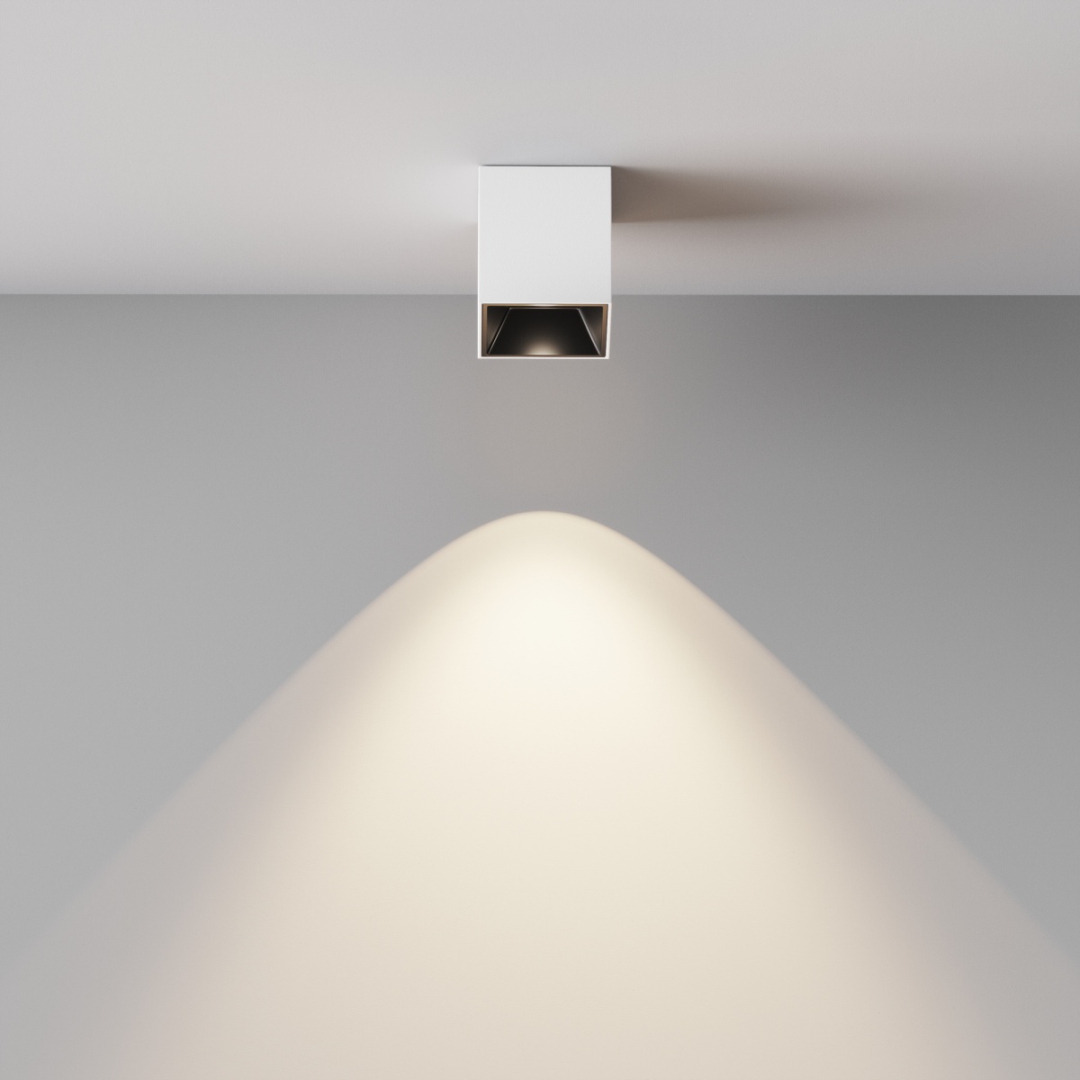 card-img