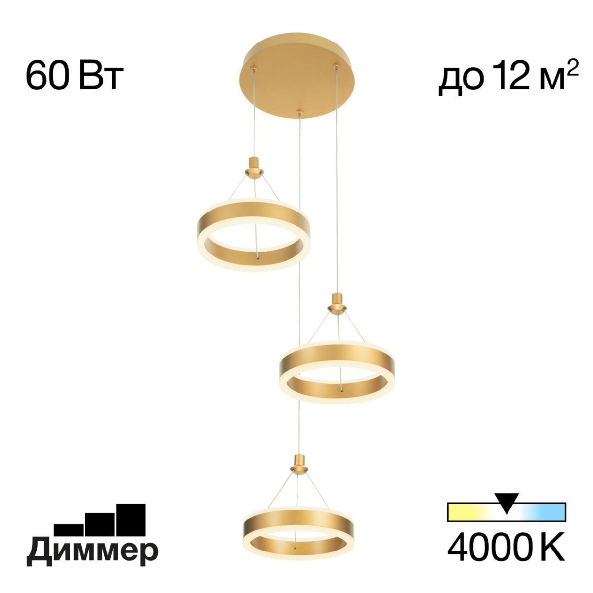 card-img