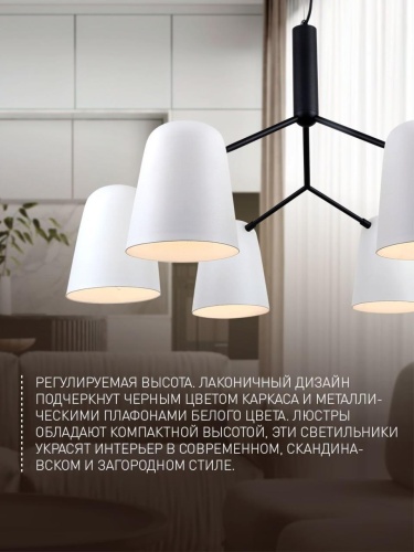 Подвесная люстра 2762-6P