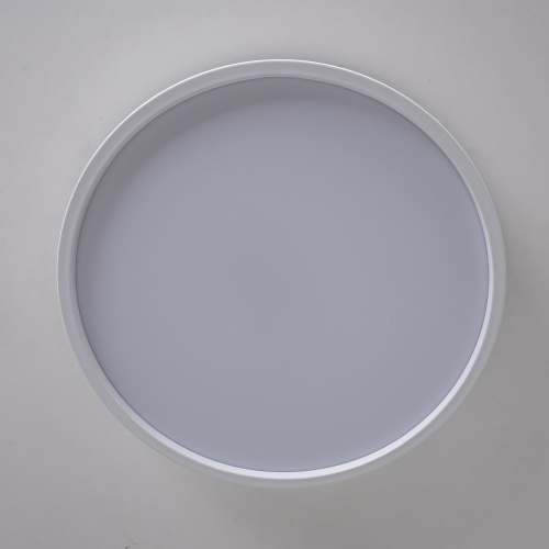 Потолочный светильник KIER D60 White 181019-26