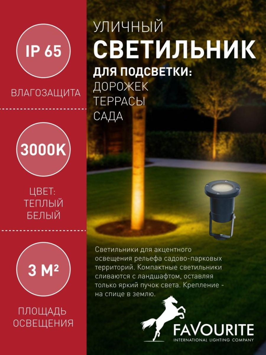 card-img