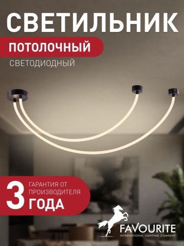 Потолочный светильник 4217-2U
