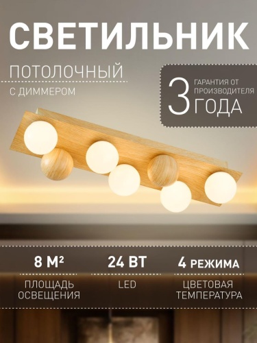 Потолочный светильник 4695-5C