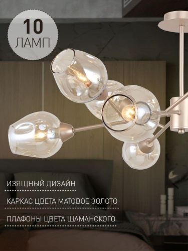 Потолочная люстра 2658-10U