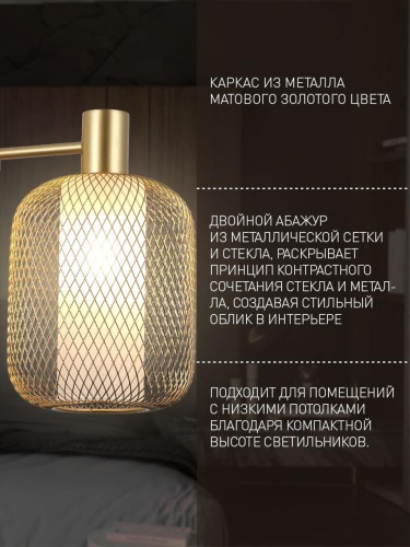 Потолочная люстра 4603-6C