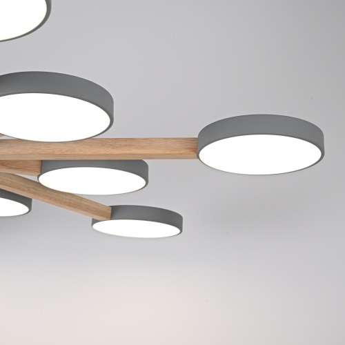 Потолочная люстра TURNA L12 Grey 228859-26