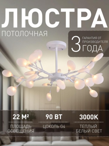 Потолочная люстра 2479-10P