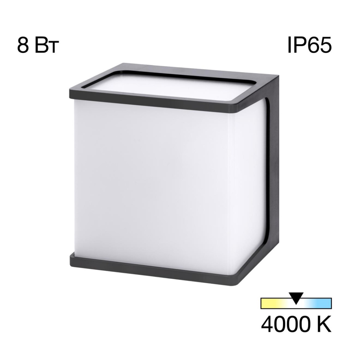 card-img