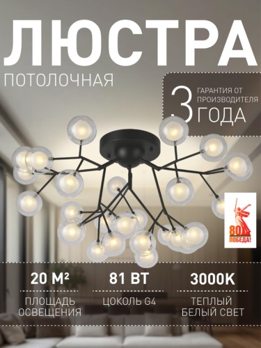 Потолочная люстра 2481-9U