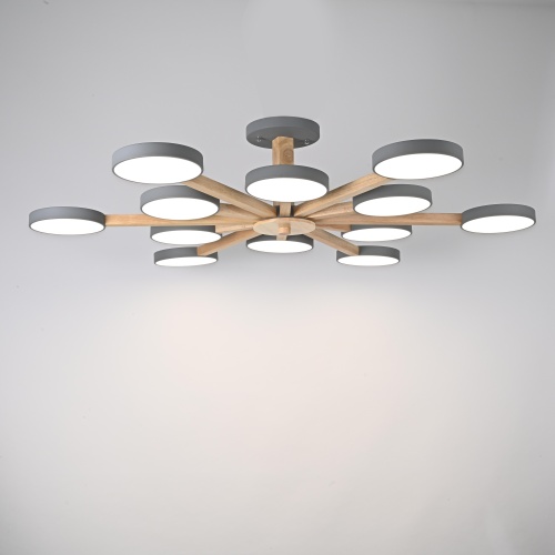 Потолочная люстра TURNA L12 Grey 228859-26