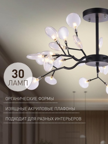 Потолочная люстра 2480-10P
