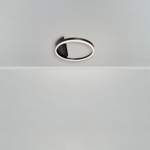 Потолочный светильник Freya FR6084CL-L68B