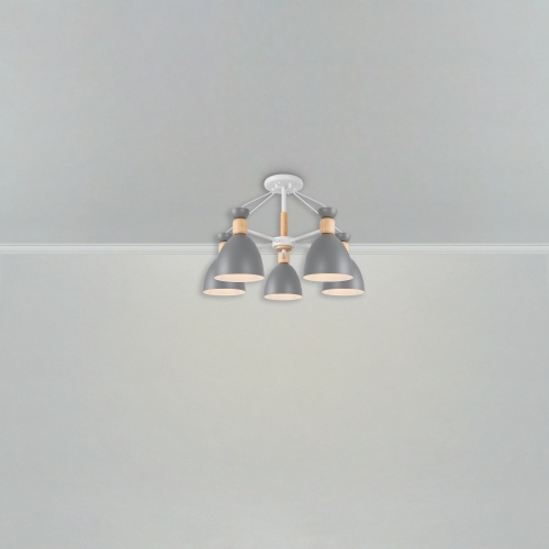 Люстра Freya FR5033CL-05W