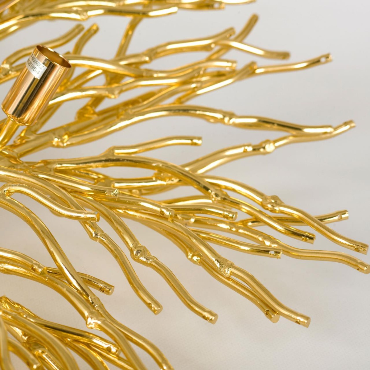 card-img