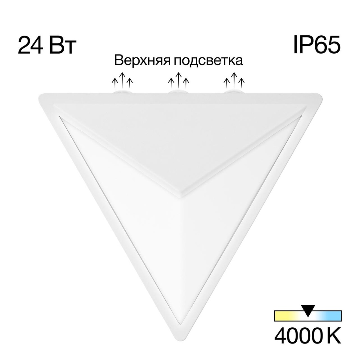 card-img