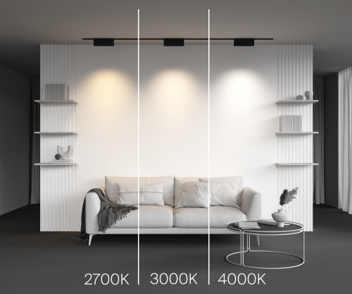 Трековый светильник Technical TR194-1-12W2.7K-M-B
