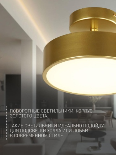 Потолочный светильник 3059-2P