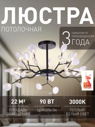 Потолочная люстра 2480-10P