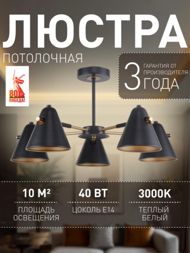 Потолочная люстра 2844-5P