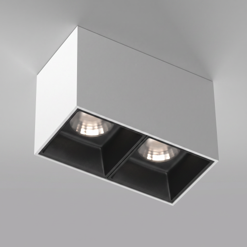 Потолочный светильник Technical C065CL-02-L12W4K-W