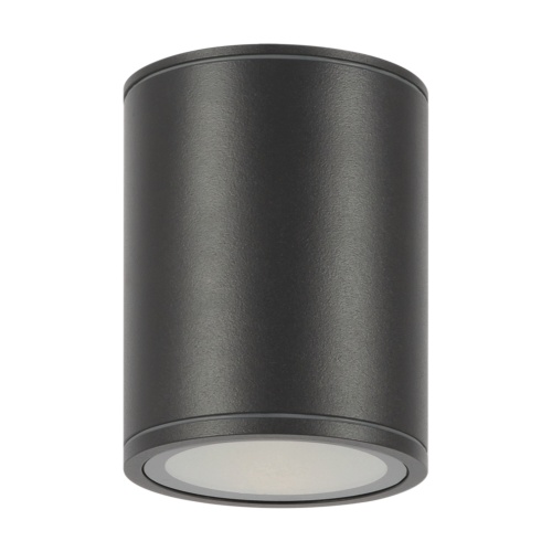 Уличный потолочный светильник Outdoor O306CL-L12GF