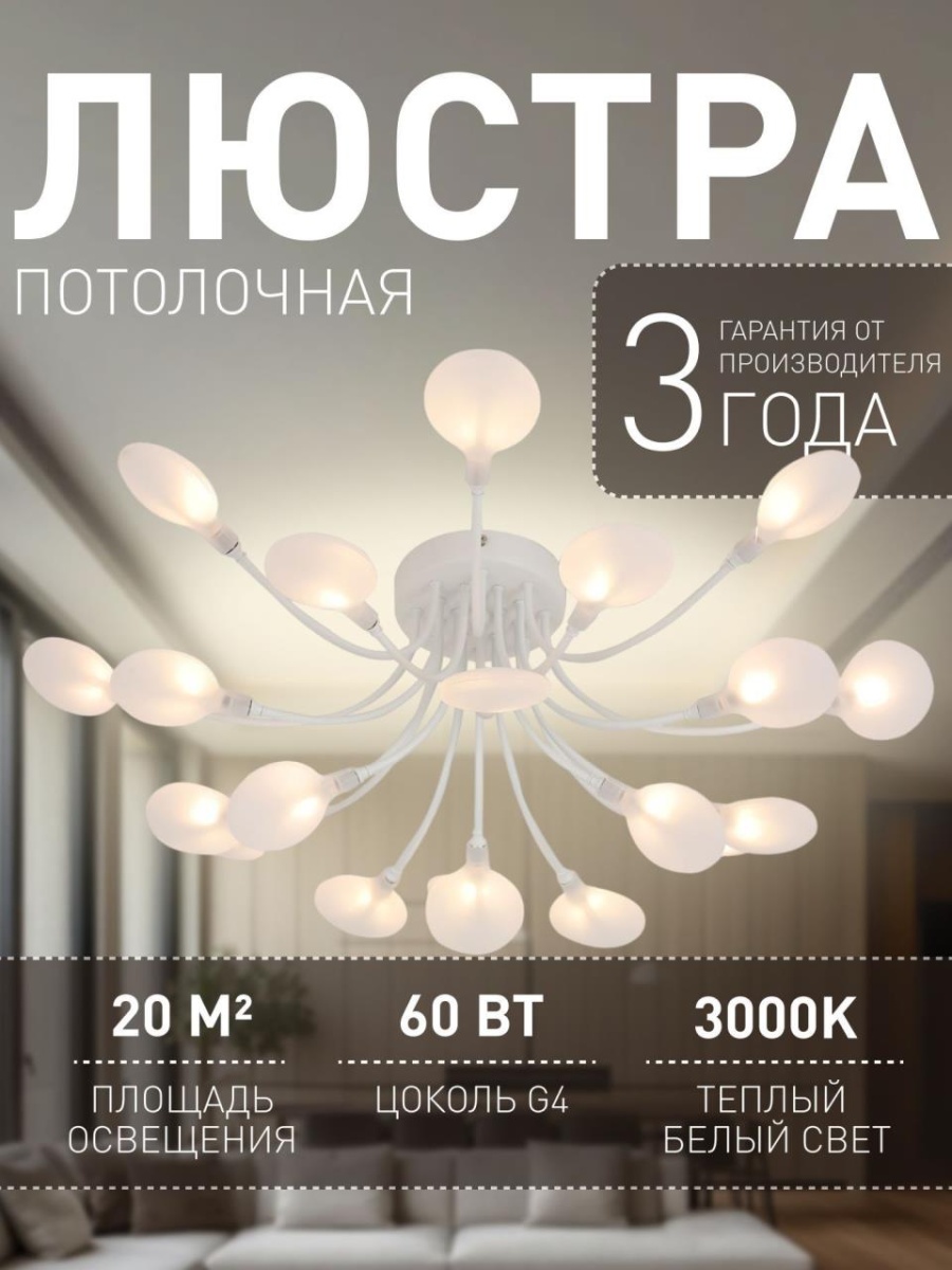 card-img