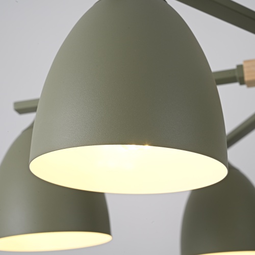 Потолочная люстра NOA 6 Olive 183463-26