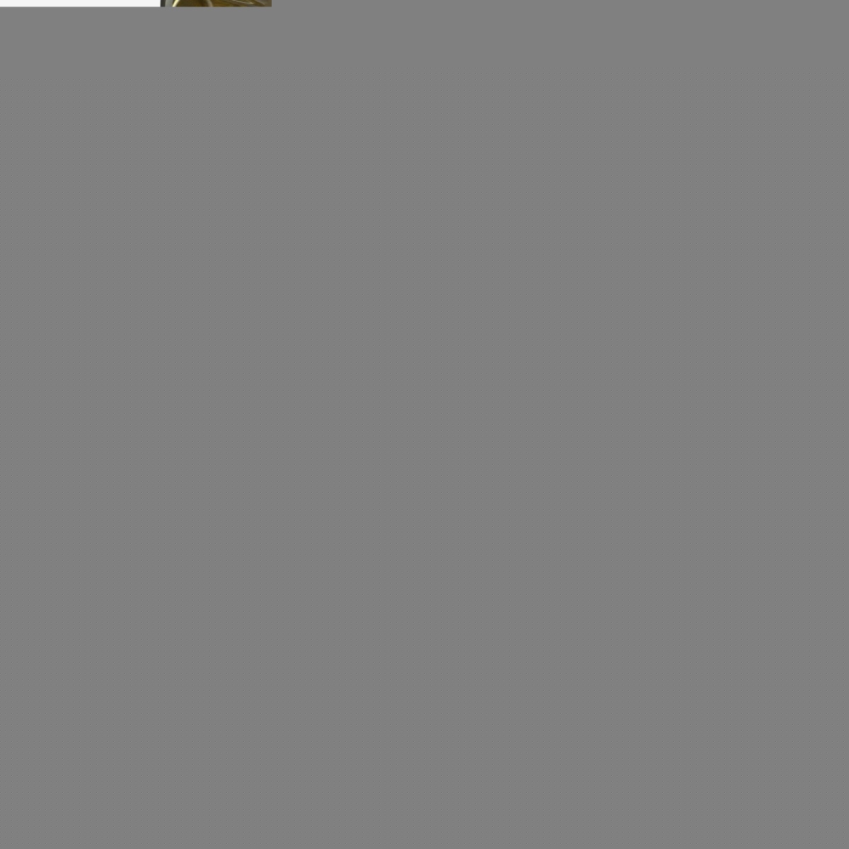 card-img