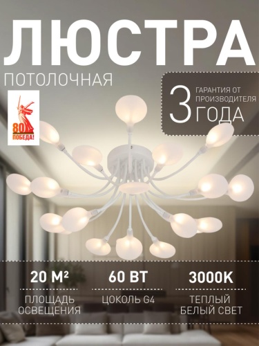 Потолочная люстра 4198-20C