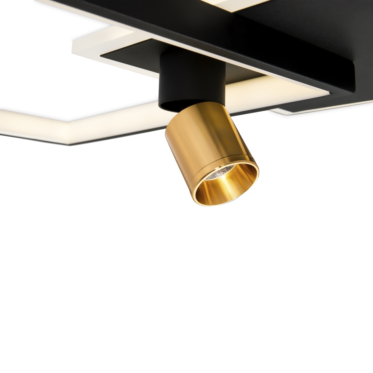 card-img