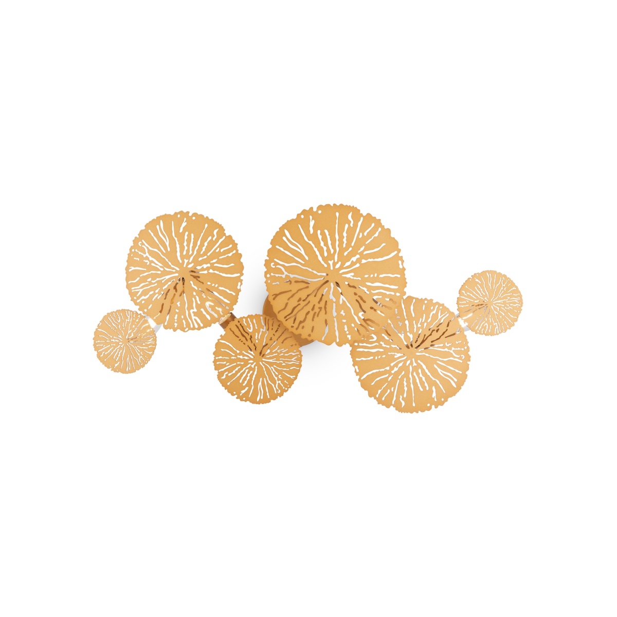 card-img