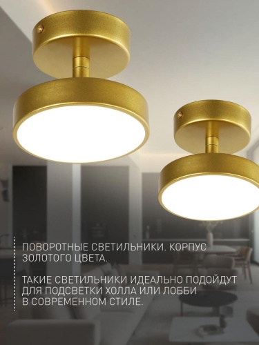 Потолочный светильник 3059-1P