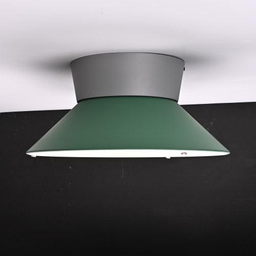 Потолочный светильник KNAP D40 Green 193556-26