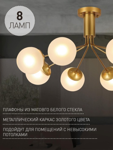 Потолочная люстра 2631-8U